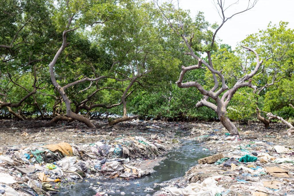 Mangrove and waste in Mburukenge slum, Mombasa